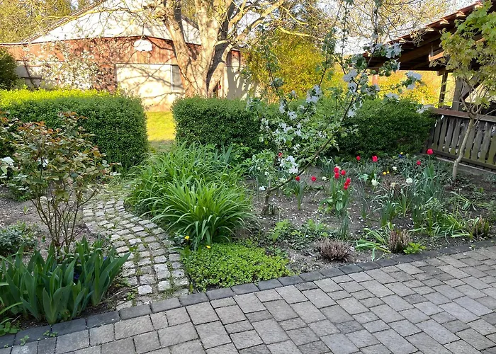 بيت للعطل Frenkel